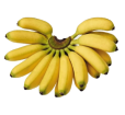 image_not_found